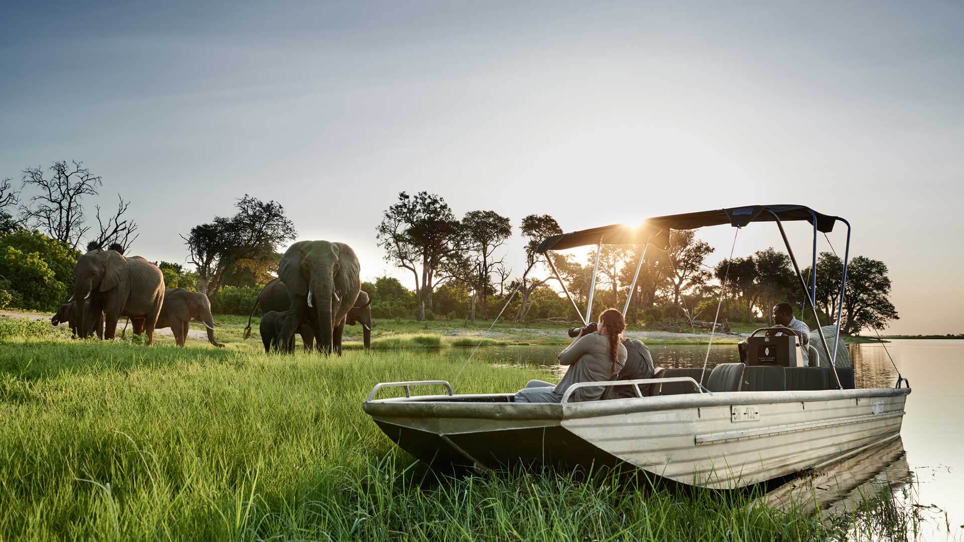 Safari experience