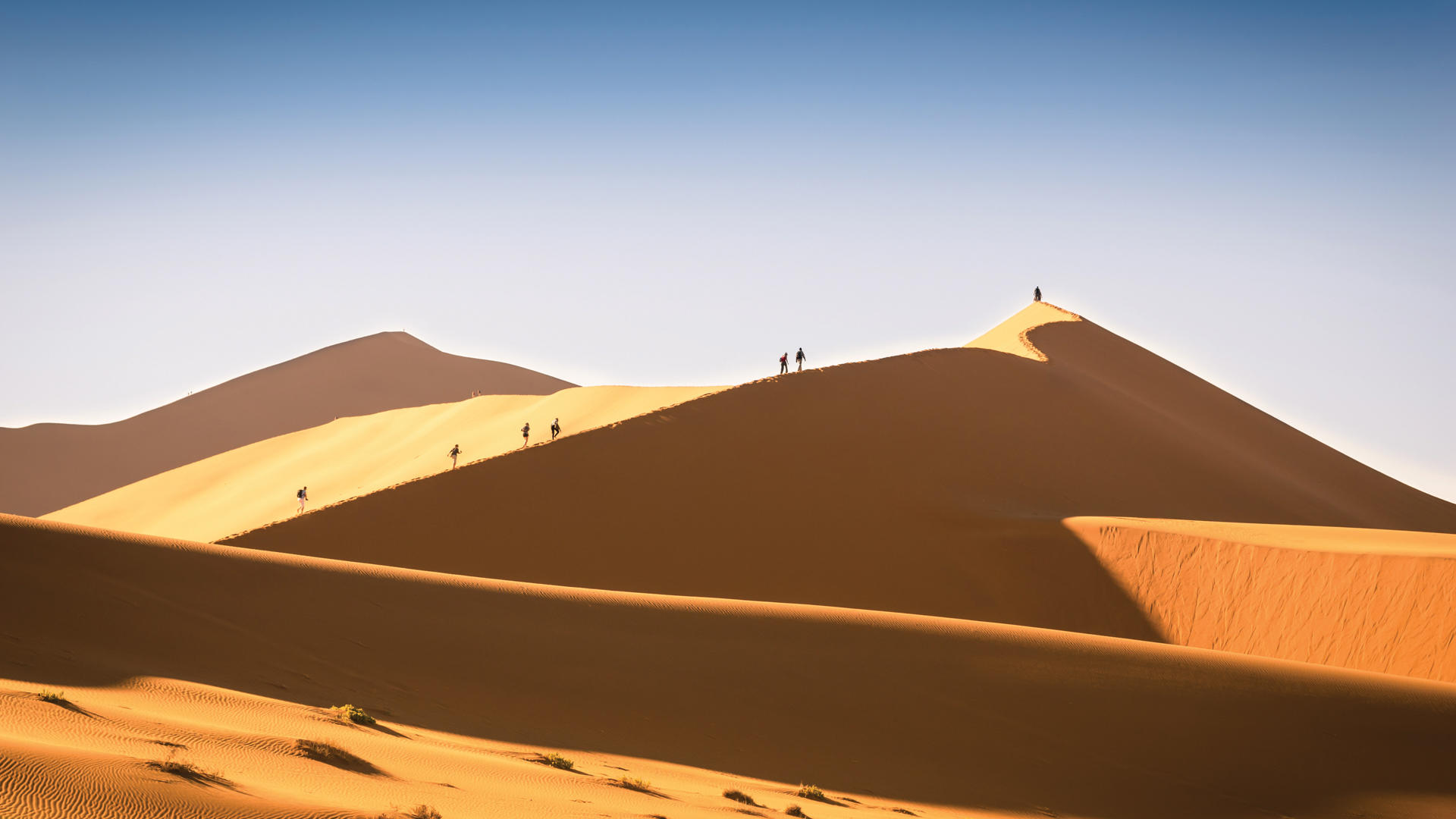 Namibia Safari